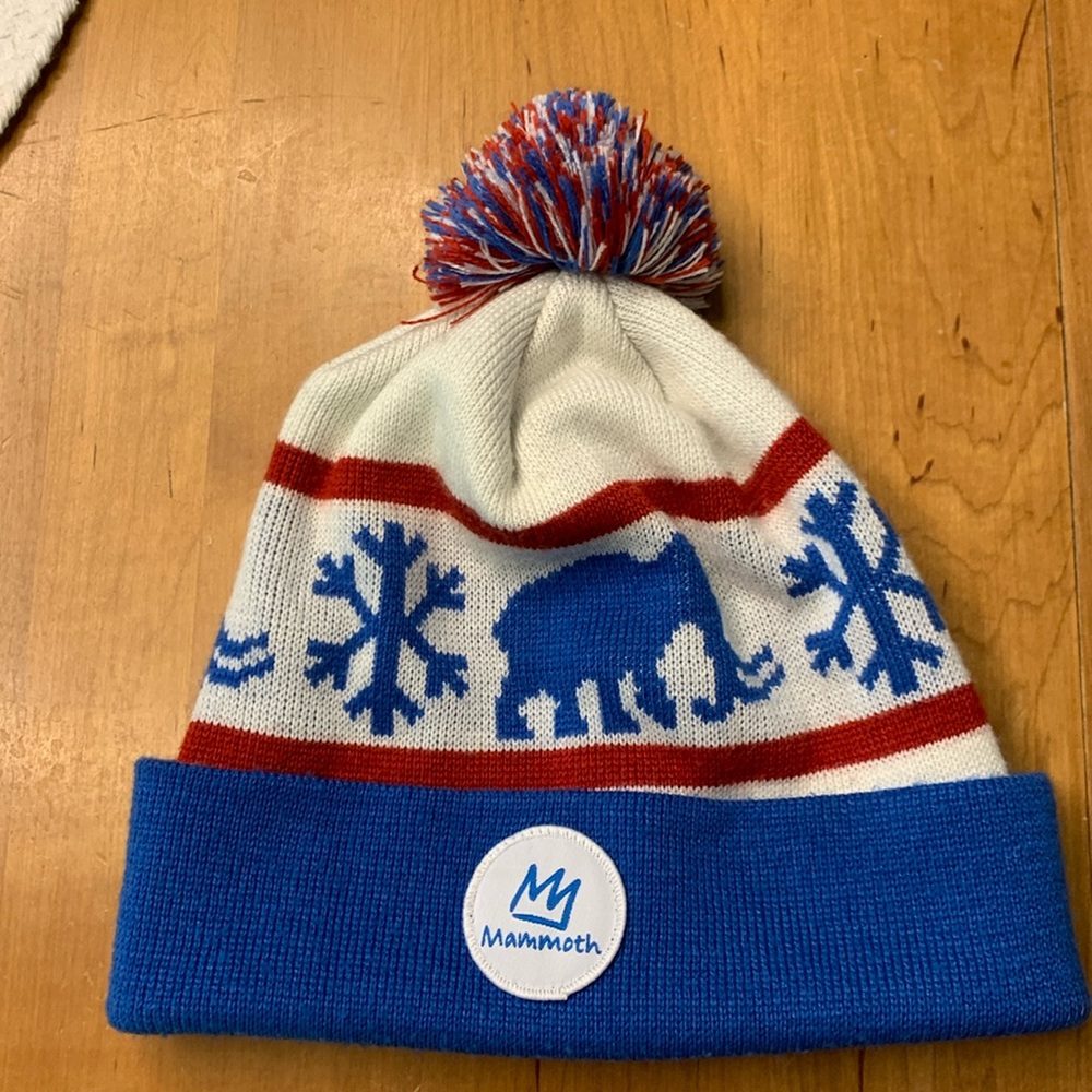 Mammoth Mountain Beanie